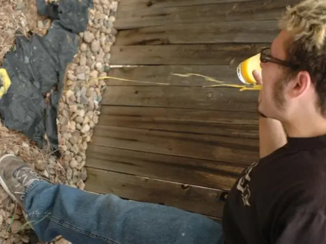 Vomiting Blood After Alcohol Consumption: Potential Causes and When Medical Attention is Required