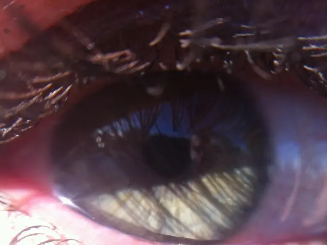 Eyelash Regrowth: Duration Explored (Uncovering Regrowth Timeline)