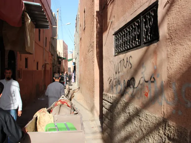 Overburdened hospitals in Gaza are filled with emaciated children due to Israel's obstruction of...