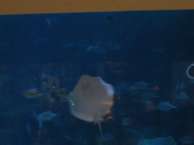 Top-tier fish breeding technology developed by CMFRI earns recognition among India's leading fish...