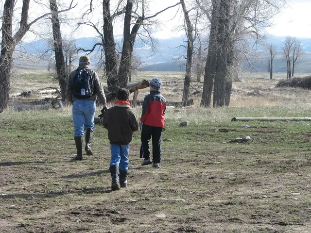 Treatment and Safety of Coal Tar: An Overview