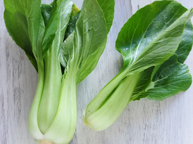 Six outstanding green foods and their contributions to your physique: