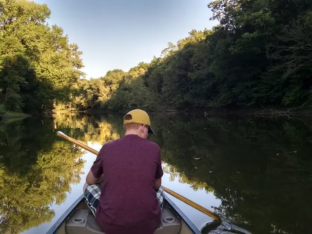 The Advantages of Rowing Machine Exercise Over Other Typical Cardio Workouts