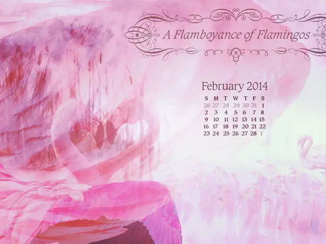 Astrological Forecast for August 2025: Aries Zodiac Sign