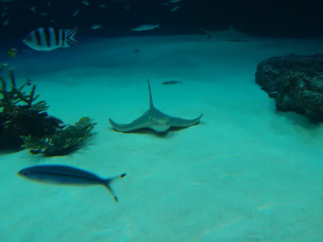 Residing Close to the Ocean Potentially Extends Life Span