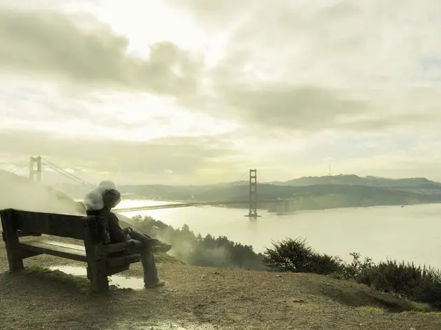 Exploring Earth's Healing Powers: The Possible Health Advantages of Drawing Energy from the Ground