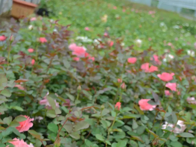 Wilmot Cancer Institute Appoints Karen Mustian as its Associate Director for Population Science