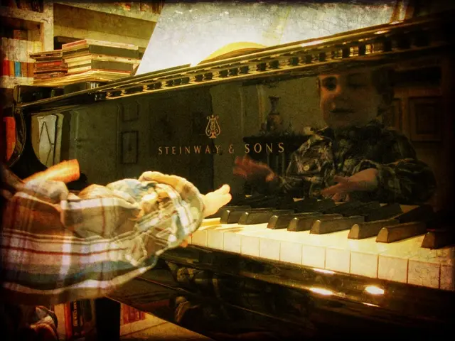 Differences, functions, and other aspects between an ADHD brain and a typical brain explained