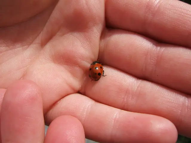 Understanding Motor Neuron Disorder: An Overview