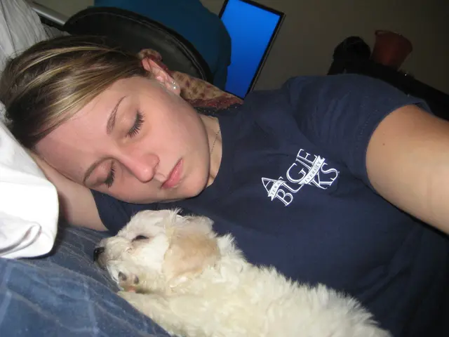 Sharing a Bed with a Canine Companion: Scientific Evidence Weighs Its Pros and Cons