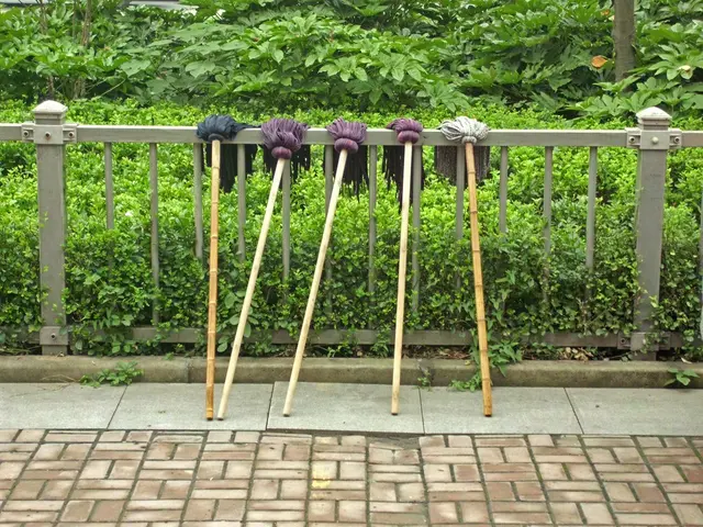 Nuclear facility in South Carolina encounters aggressive wasp infestation