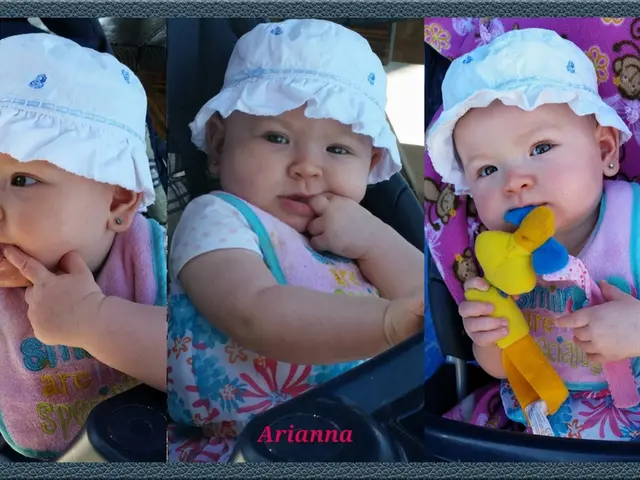 Autistic Special Interests Explanation