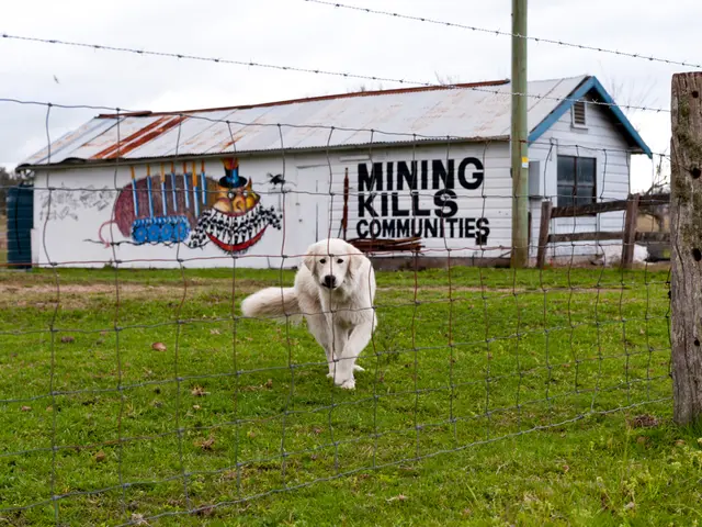 Young girl endures gruesome facial injuries in a vicious dog attack outside her grandma's...