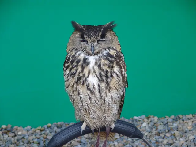 Decoding the Symbolism Behind Your Slumbering Visions