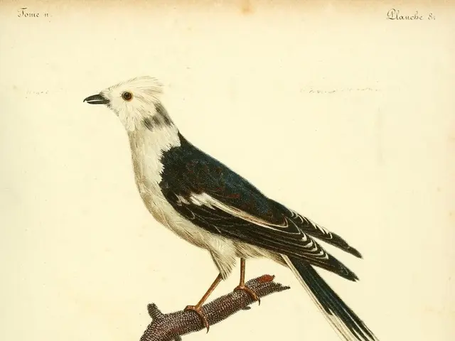 Inspirational Expressions About Huntington's Disease