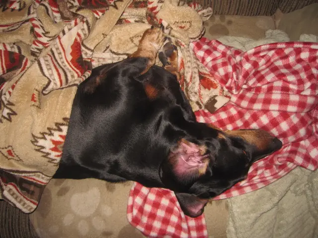 Top 7 Incontinence-Friendly Sheet Protectors for Optimal Security