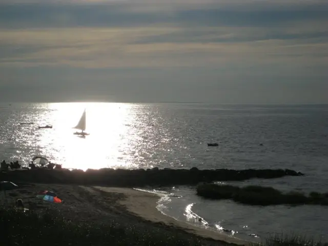 Living near the coast could potentially increase lifespan, research suggests