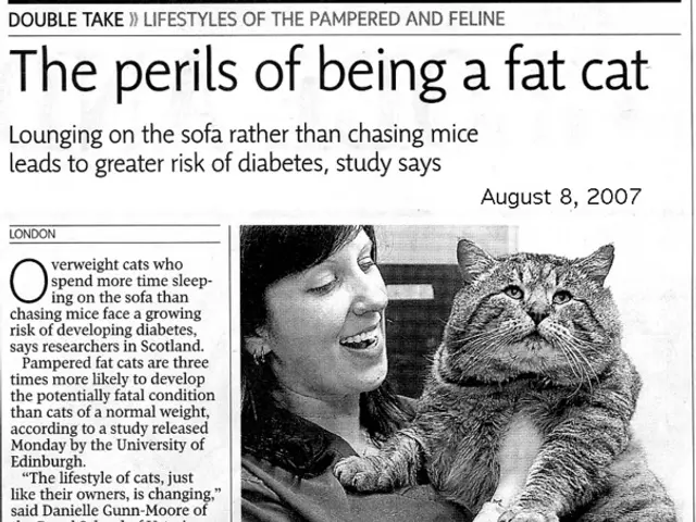 Increase in Domestic Violence Incidents within Germany as per recent reports