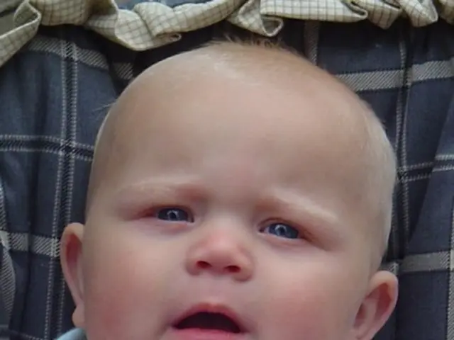 Unfortunate event in New Zealand: A toddler (2) tragically squashed in a luggage case - the mother...