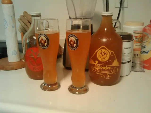 Leipzig District Offers Details on Addiction Treatment Services