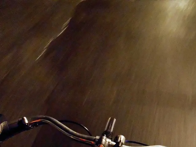 Elderly Cyclist meets tragic demise in Speyer at 88 years old