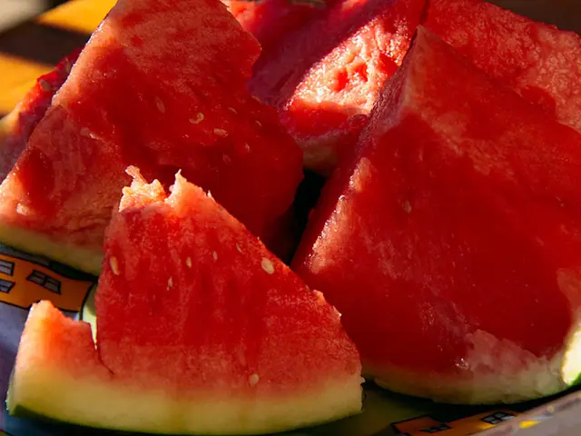 National Watermelon Day Celebration Explodes Across America, Bringing Sweet Revelry to the Heart of...