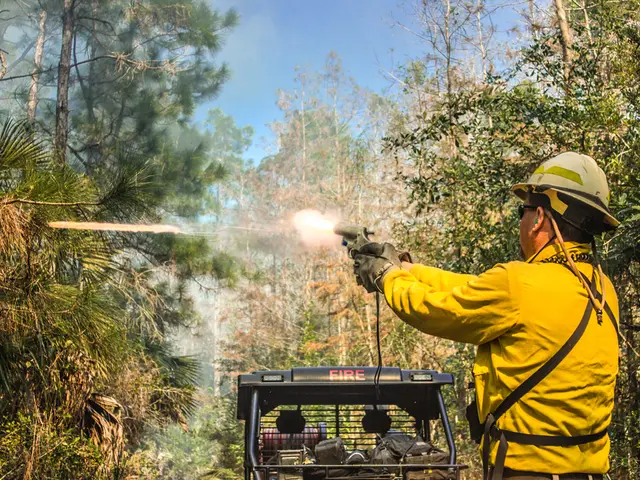 Armed individual exhibiting erratic behavior, brandishing a replica firearm towards moving vehicles...