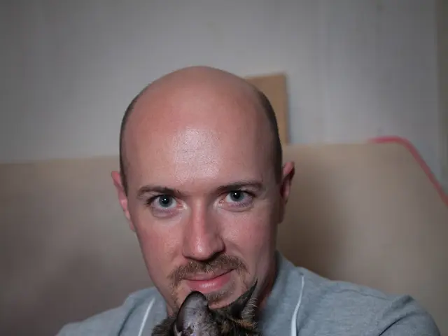 Signs of Feline Strokes to Observe