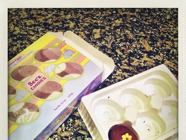 Fundraising Shortfall Lacking Donations for Child Grief Support in Bielefeld