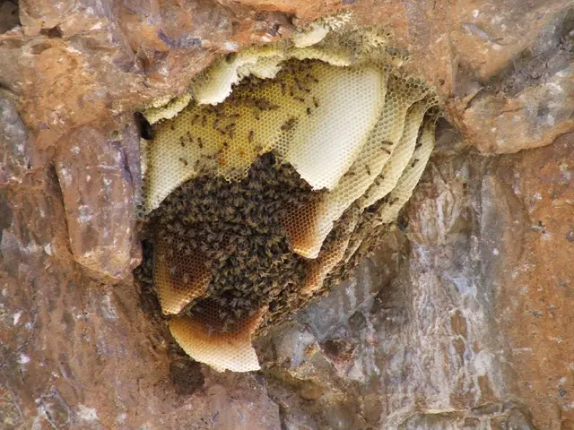 Differences and Information on Eczema and Hives Explored