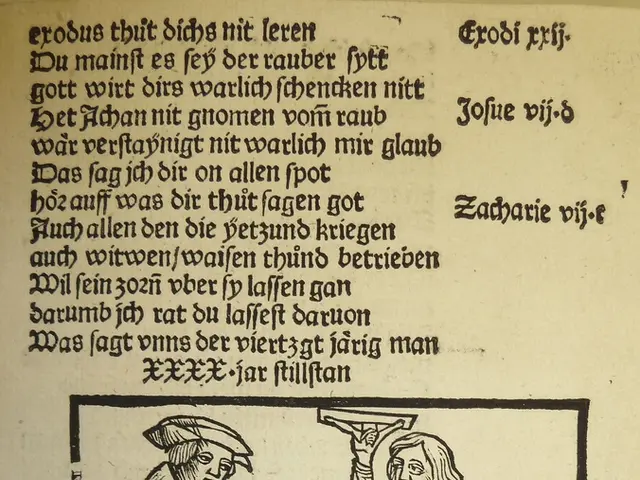 Guidelines for Precise Translation of Medical Records