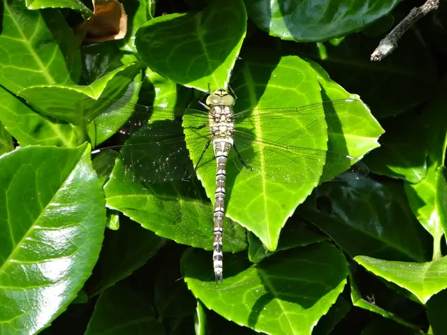 Authorities in China may have drawn inspiration from their COVID-19 response in dealing with a...