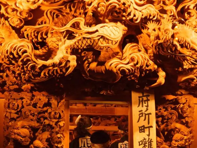 Link Explores the Causes and Solutions for Lower Back and Knee Aches