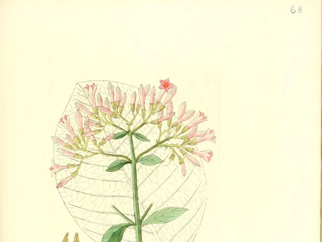 Understanding Angina: A Look at Chest Pain Caused by Heart Conditions