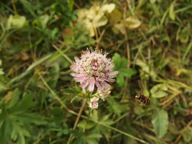 Eliminate Roundworms in Soil: Protect Your Crops, Preserve your Garden's Health