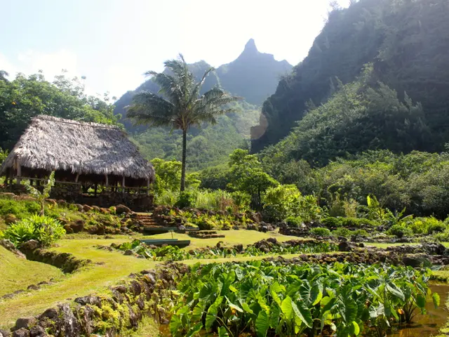 Gall bladder issues could potentially lead to back discomfort.