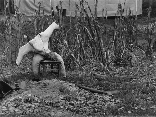 Fear of clowns: Recognizing symptoms, identifying origins, and seeking help for treatment