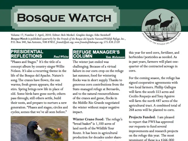 Water analysis clear of harmful bacteria: swimming restrictions rescinded