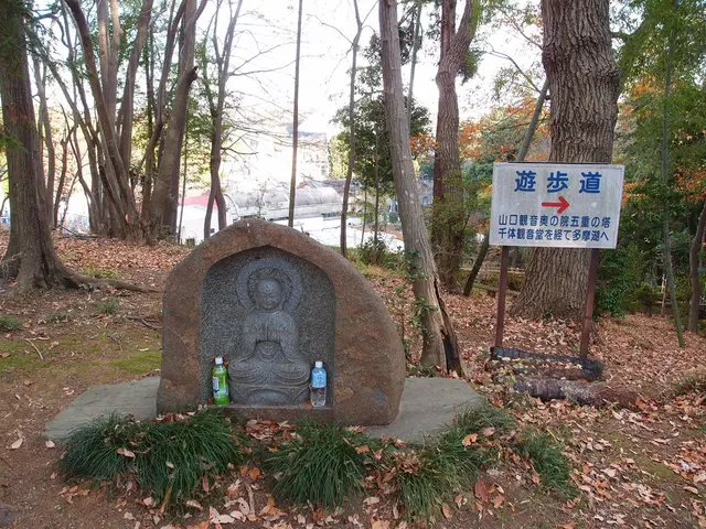 Exploring Eco-Activism Through Psychedelics: A Look at the Intersection of Mental Alteration and...