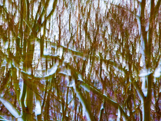 Cryo-Electron Microscopy Adoption in the North East Region