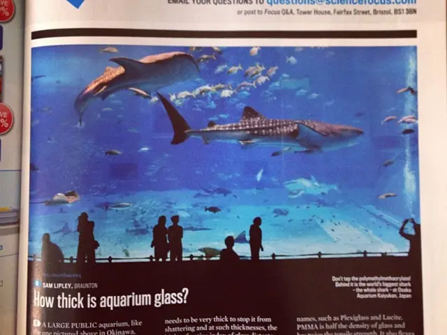 Temporarily Sheltered: Rare Fish Evade El Niño at Birch Aquarium, Scripps Institution of...