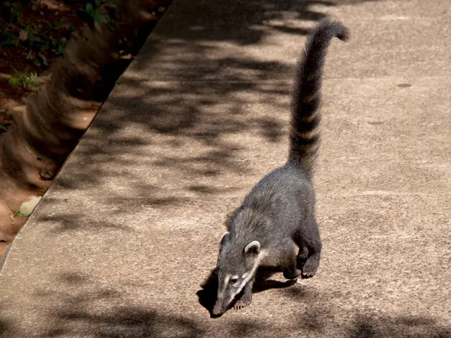 Plant and Weed-Derived Hives: Identification, Symptoms, and Additional Information