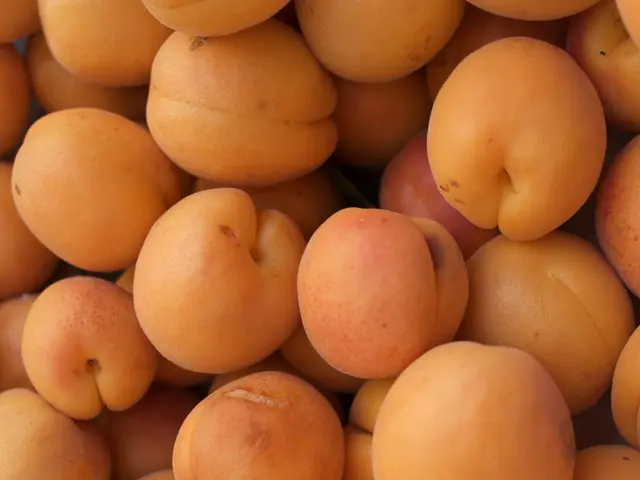 Oranges and diabetes: Can they coexist favorably?