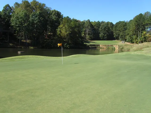 Minnesota Department of Natural Resources seeking potential benefits following Alice Lake's...