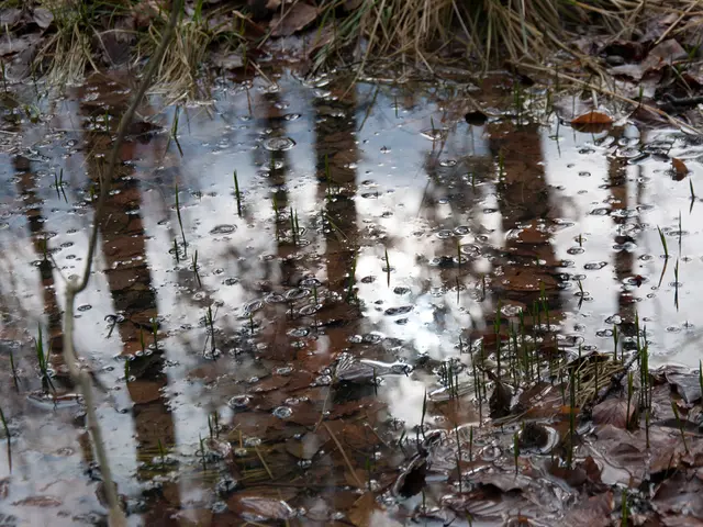 Hydrocele Explanation