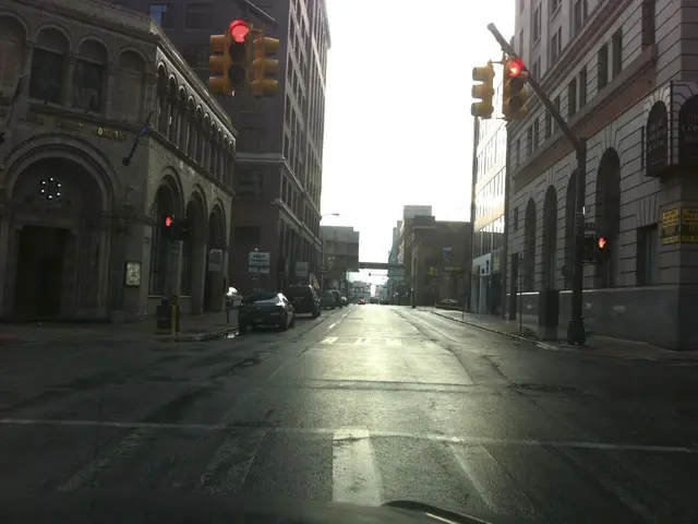 Enhancements: Innovative Zebra-Inspired Designs For Life-Sustaining Equipment