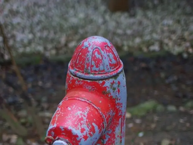 Incident in Rudny: Investigation following unfortunate events already underway