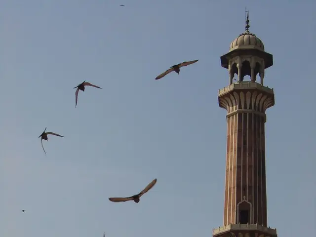 Drones navigate inside Salisbury Cathedral, accompanied by the resounding organ performance of...