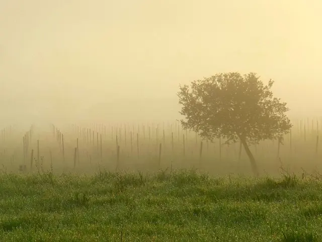 Is it typical to experience cognitive fog, and when should one seek medical attention for such...