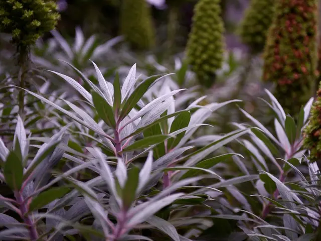 Farmers will have access to these newly developed plant protection products by the year 2026, as...